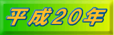 20N